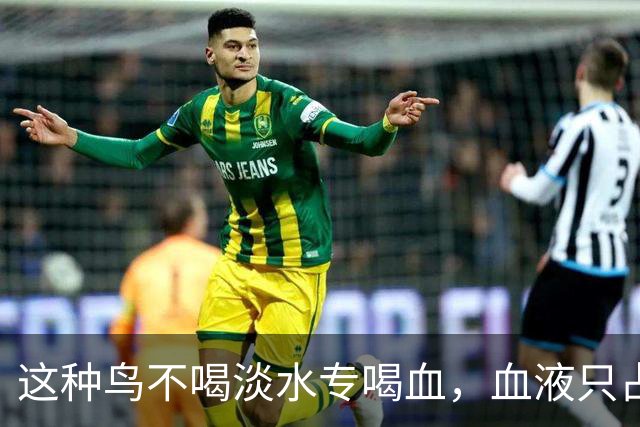 这种鸟不喝淡水专喝血，血液只占食谱十分之一