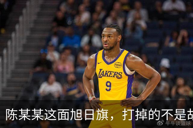 陈某某这面旭日旗,打掉的不是胡锡进的面子,是一层中邪论的滤镜